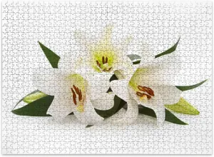 Jigsaw Puzzles 500 Pieces for Adult White Lilies Puzzle Game for Family Wooden Puzzle Toy Educational Games Puzzles for Home Decor