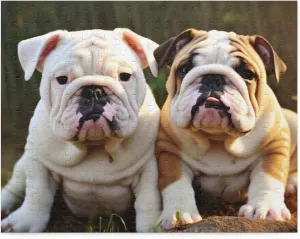 Jigsaw Puzzles for Adults Puzzle-English Bulldog-1000 Piece Jigsaw Puzzles Props for Youth Children Funny Games Educational Toys DIY Modern Home Decoration Gifts for Dogs Lover