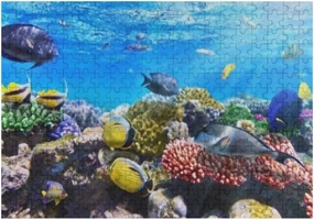 Jigsaw Puzzle 500 Pieces Coral Fish Red Sea Puzzles for Adults Teens and Kids Creative Gift Puzzles Funny Family Games Multiple Size