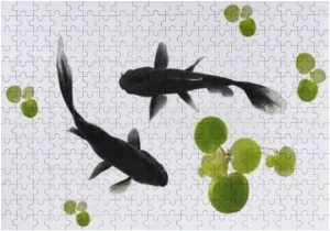 Kuizee Jigsaw Puzzle 1000 Pieces Puzzle for Adults Koi Fish Isolated School Kids Teens Educational Intellectual Decompressing Funny Family Games 29.5X19.7 Inch