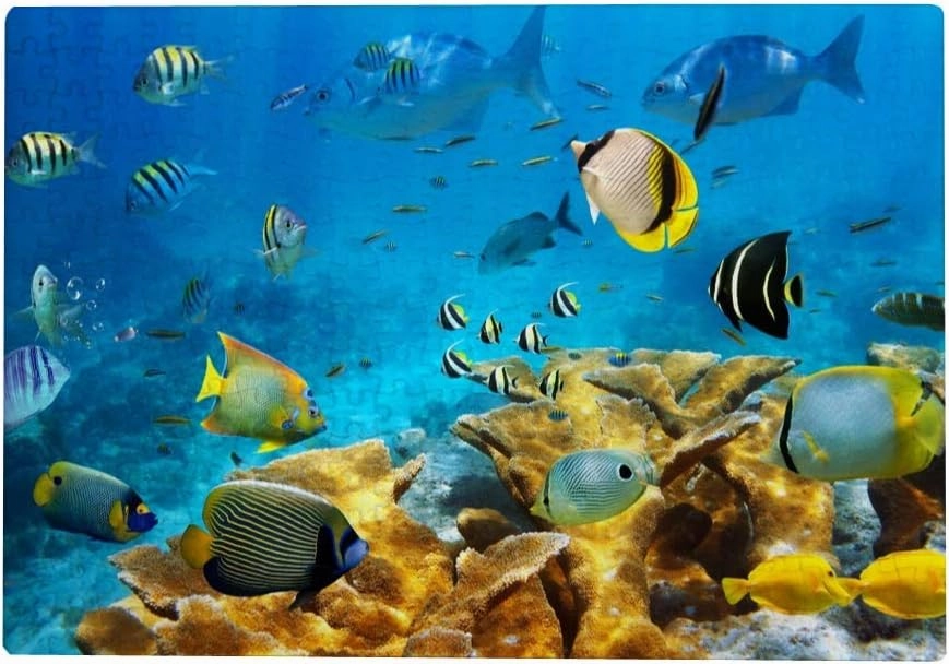 Kuizee Puzzle 1000 Piece Jigsaw Puzzle ﻿View of Ocean Fishes Coral Under Water Kids Adult Educational Intellectual Decompressing Fun Game 29.5X19.7Inch