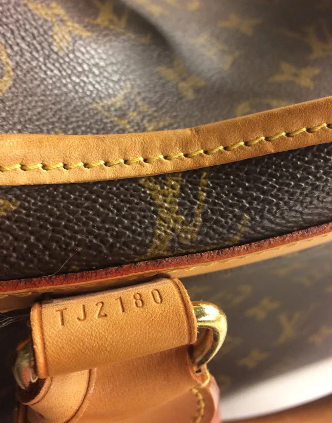 Louis Vuitton pet/ dog carrier 40 monogram
