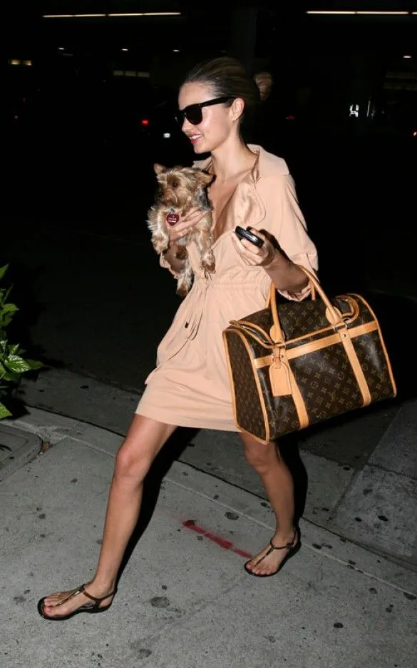 Louis Vuitton pet/ dog carrier 40 monogram