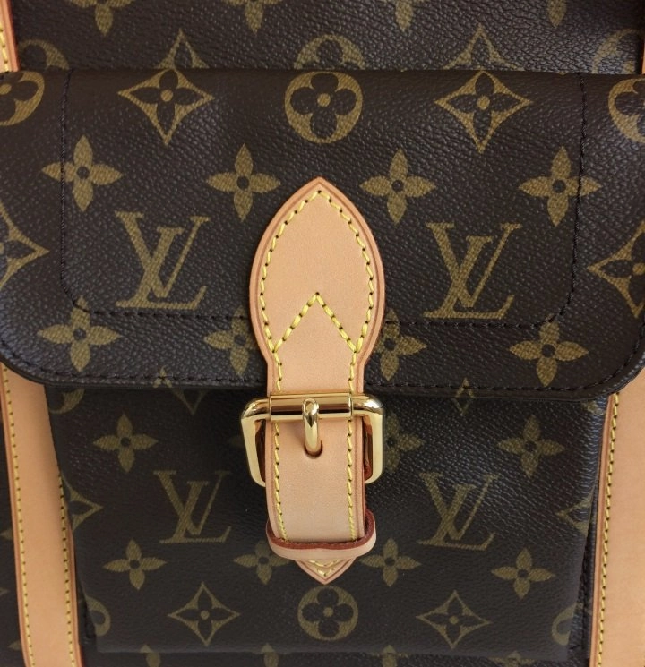 Louis Vuitton baxter GM pet/ dog carrier