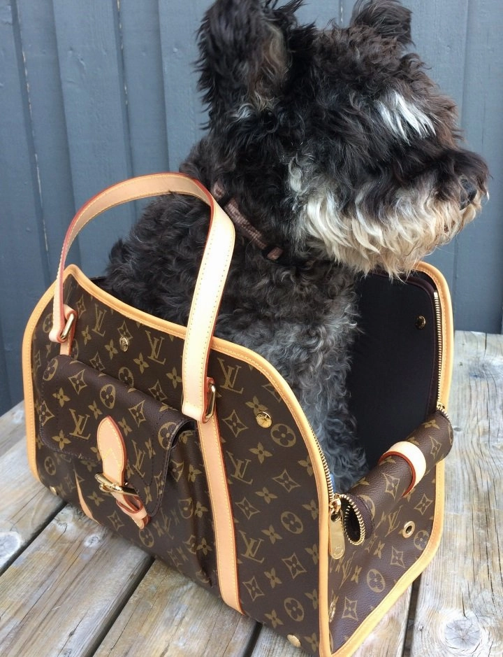 Louis Vuitton baxter GM pet/ dog carrier