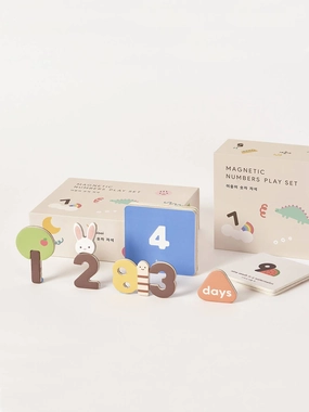 Magnetic Number Play Set