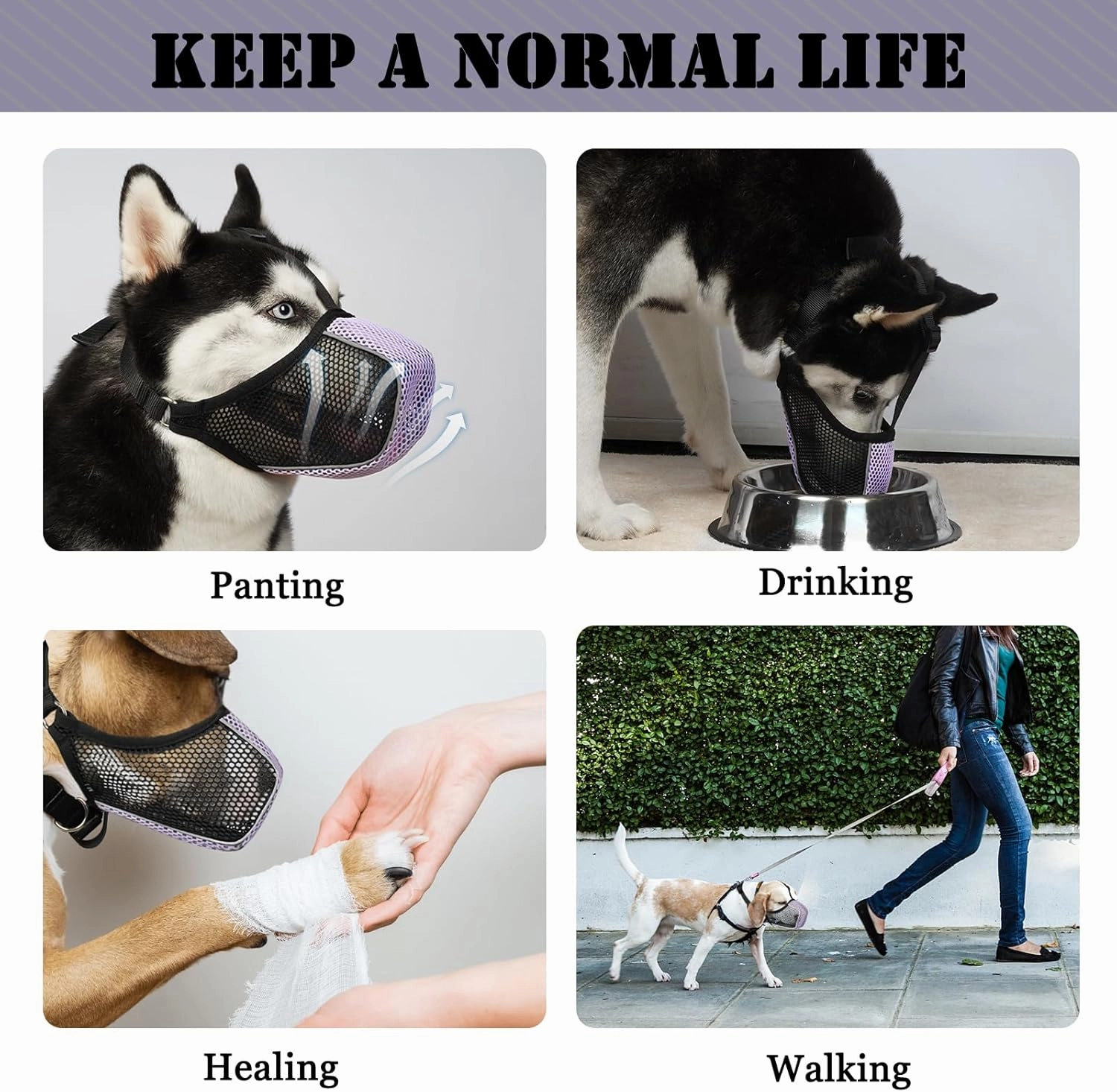 Mayerzon Dog Muzzle, Patented Mesh Soft Muzzles for Large Medium Small Dogs Poodle Husky Doberman Labrador Retriever for Scavenging Grooming Biting Chewing, Breathable Reflective Mussel with Collar
