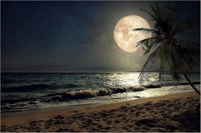 Moon Fantasy Series Puzzle Wooden Jigsaw Puzzles 500 Pieces for Adults Scenic Ocean Landscape Beach Puzzles an Educational Toys and Fun Game for Elders Children Family and Friends