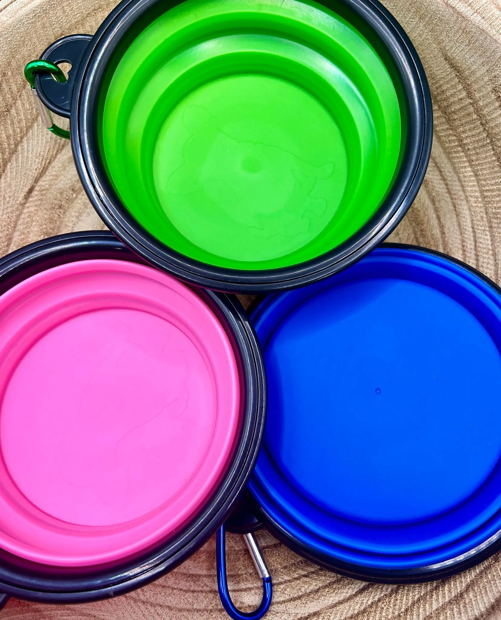 ON-THE-GO PET BOWL
