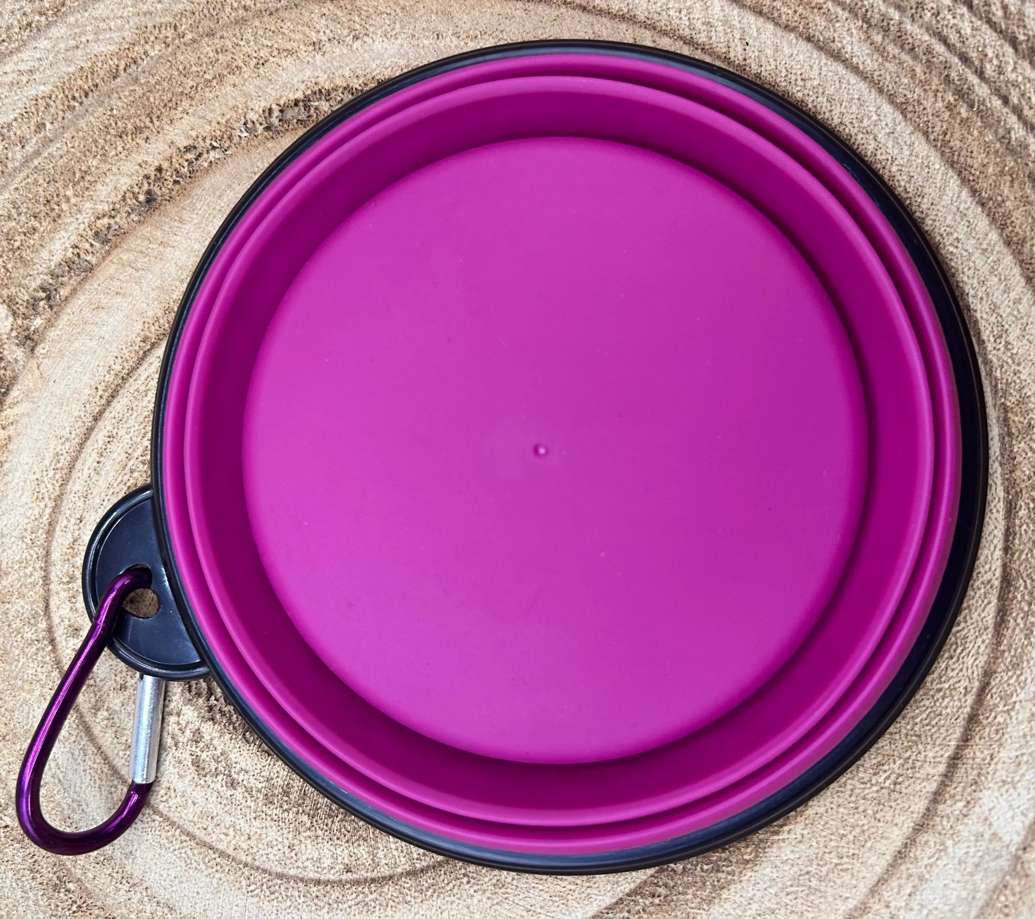 ON-THE-GO PET BOWL