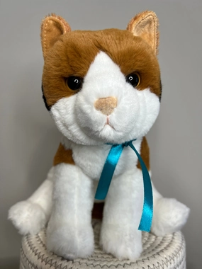 Patches Calico Cat Douglas 2025 - Turquoise