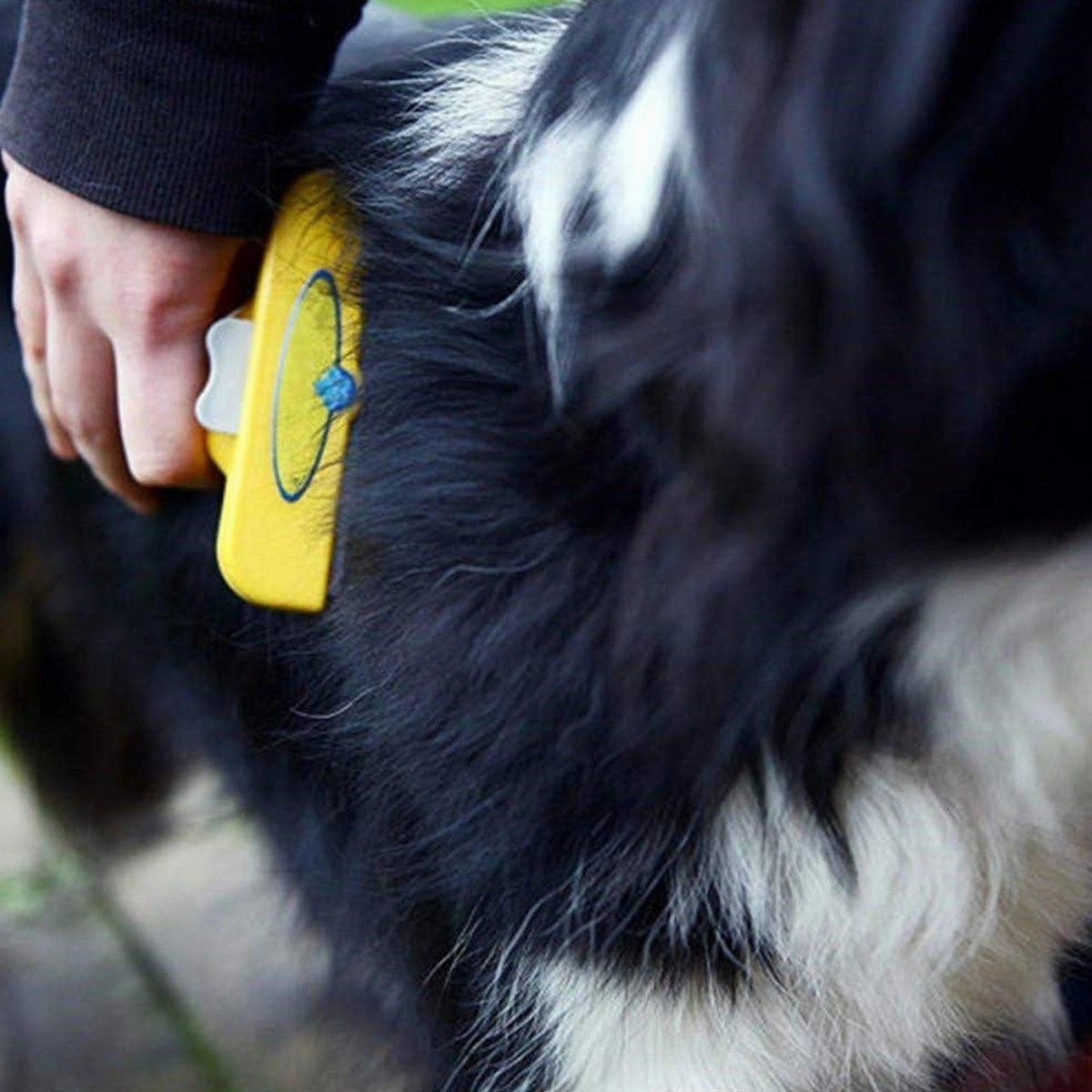 Pet Hair Removal Brush Deshedding Tool for Cats Dogs Grooming Comb Fur Remover