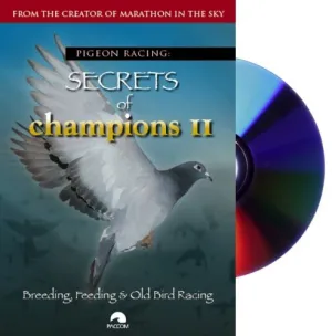 Pigeon Racing: Secrets of Champions II