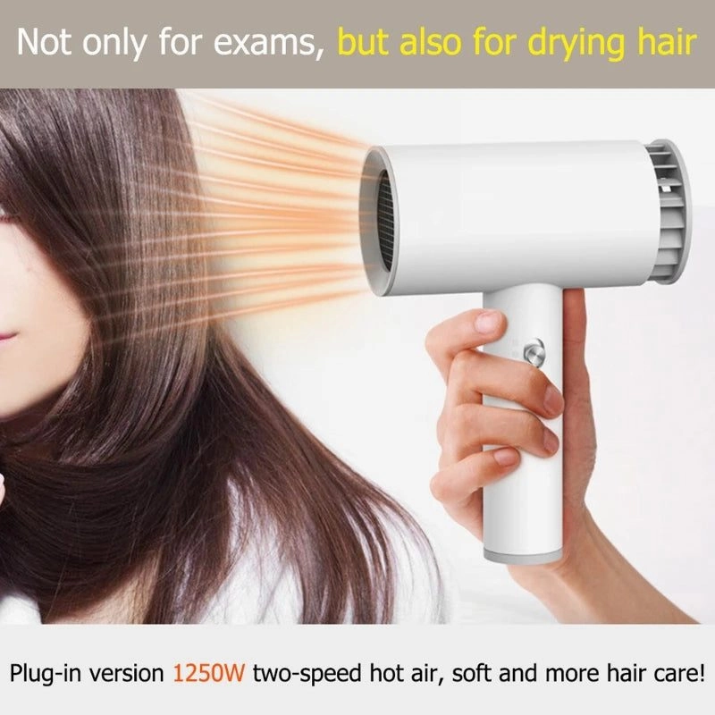 Portable Cordless Hair Dryer for Pets