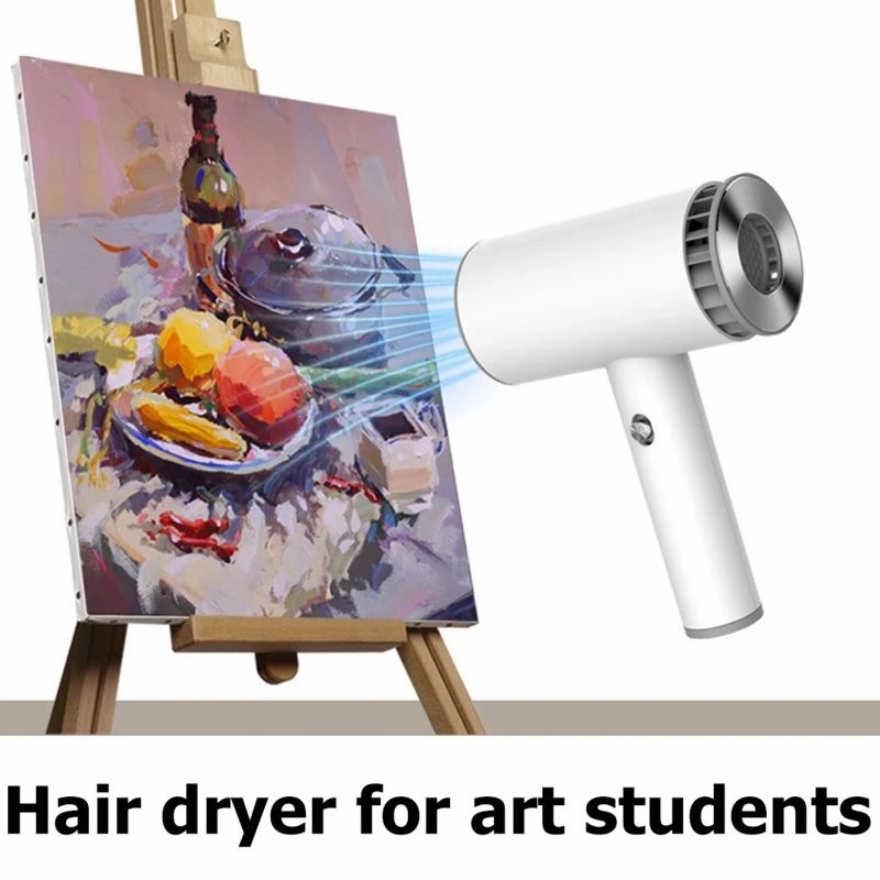 Portable Cordless Hair Dryer for Pets
