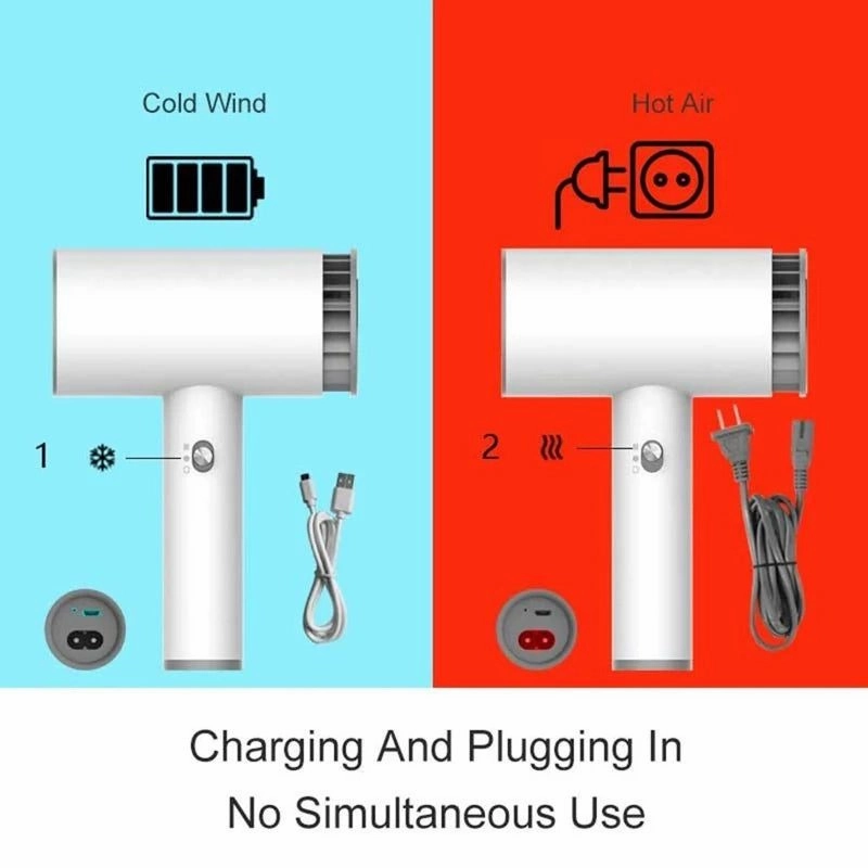 Portable Cordless Hair Dryer for Pets