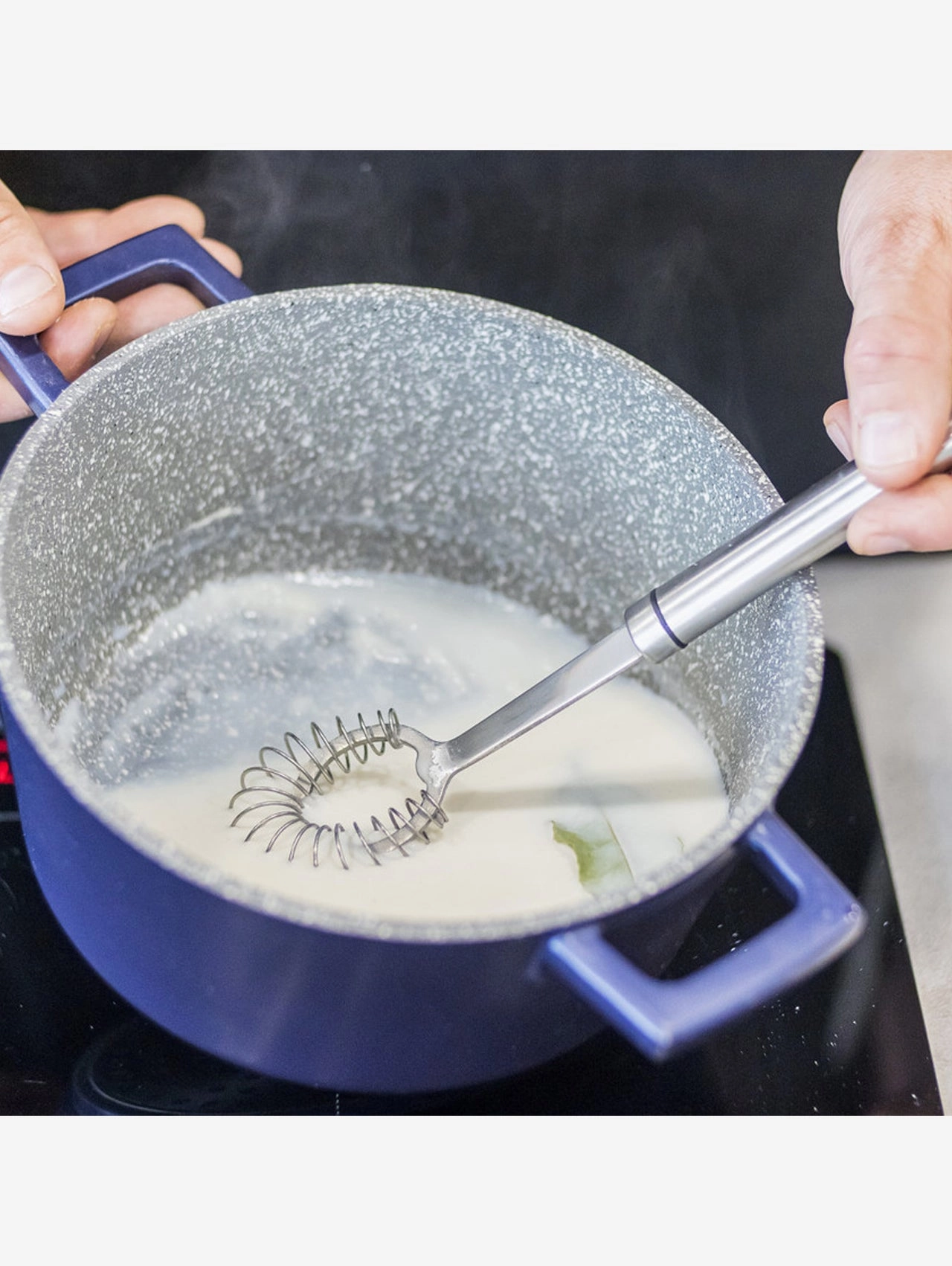 Pro Whisk Stainless Steel