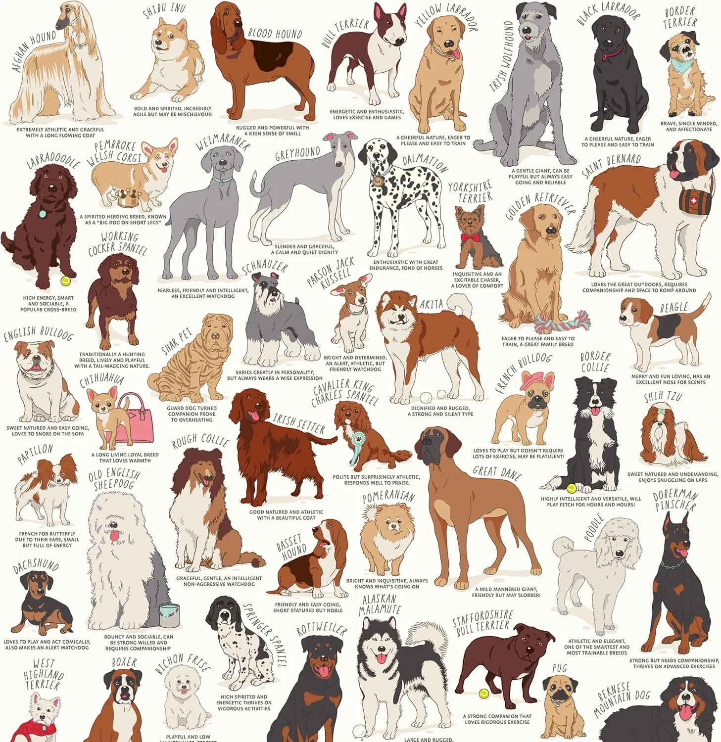 Ridley's Dog Lover's 1,000-Piece Jigsaw Puzzle – Dog Puzzle with Informational Image About Different Breeds, Sturdy Storage Tube Included – Activity Puzzle – Makes a Great Gift