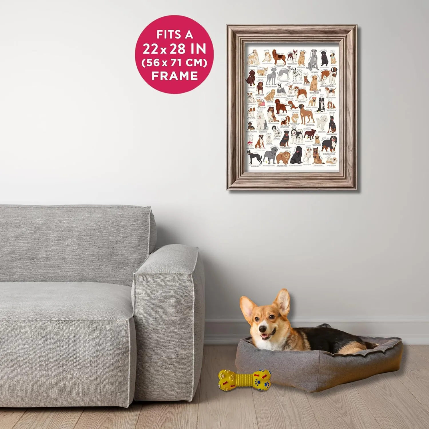 Ridley's Dog Lover's 1,000-Piece Jigsaw Puzzle – Dog Puzzle with Informational Image About Different Breeds, Sturdy Storage Tube Included – Activity Puzzle – Makes a Great Gift