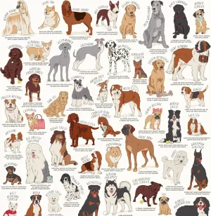 Ridley's Dog Lover's 1,000-Piece Jigsaw Puzzle – Dog Puzzle with Informational Image About Different Breeds, Sturdy Storage Tube Included – Activity Puzzle – Makes a Great Gift