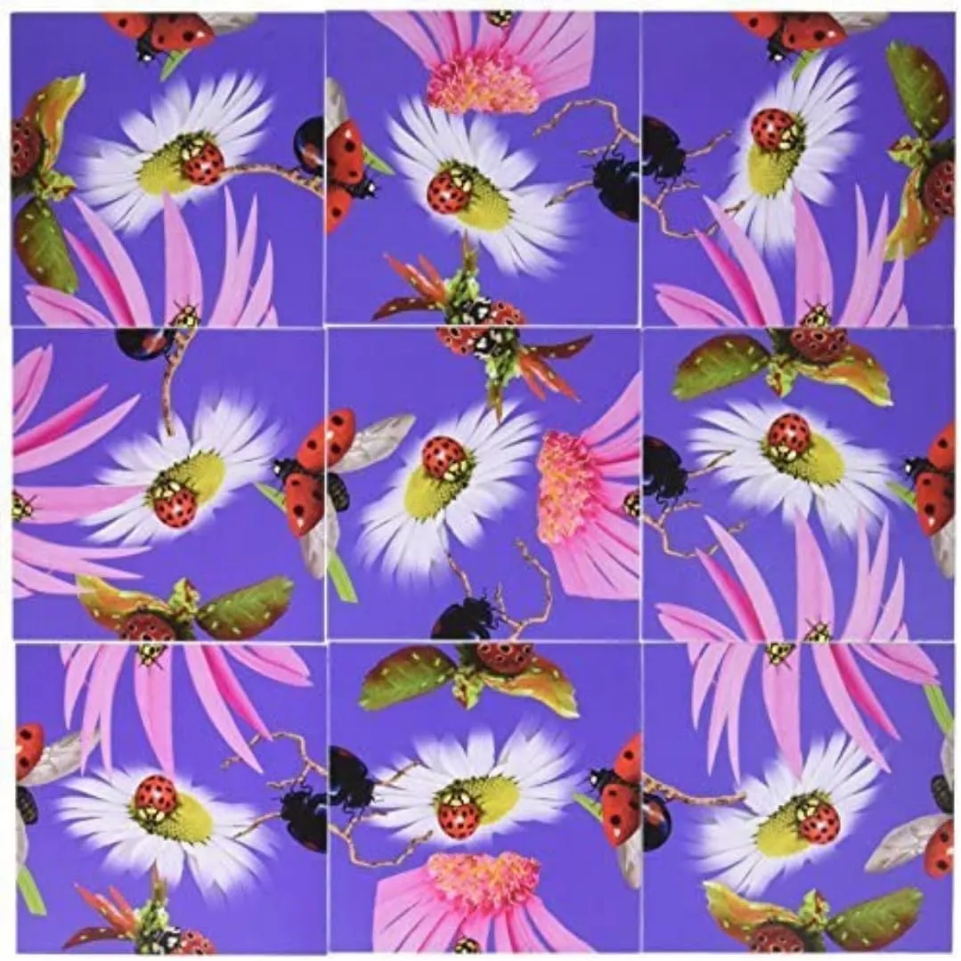 Scramble Squares LadyBugs 9 Piece Challenging Puzzle - Ultimate Brain Teaser and Mind Game for Young and Senior Alike - Engaging and Creative With Beautiful Artwork - By B.Dazzle