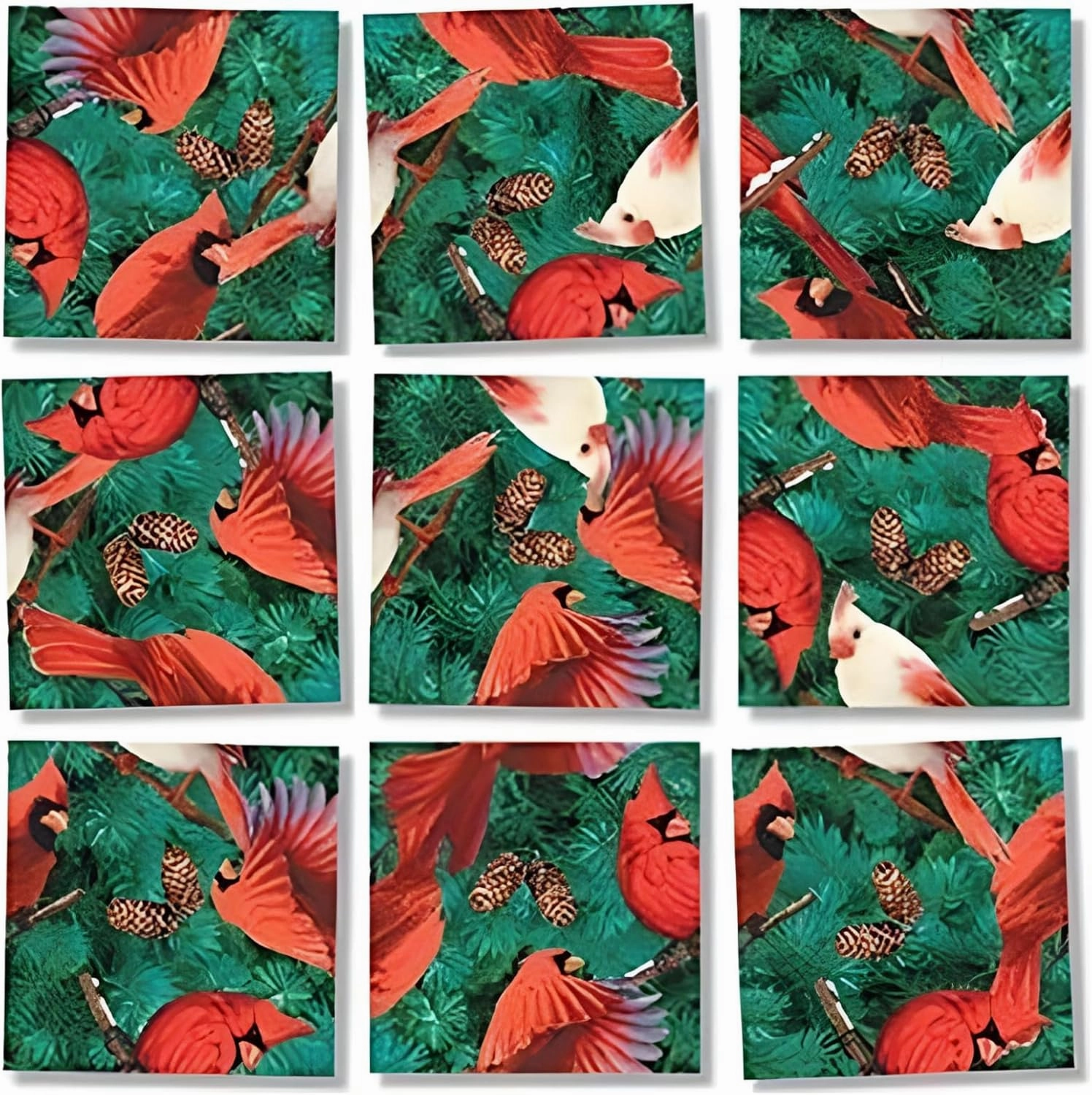 Scramble Squares Cardinals 9 Piece Challenging Puzzle - Ultimate Brain Teaser and Mind Game for Young and Senior Alike - Engaging and Creative With Beautiful Artwork - By B.Dazzle
