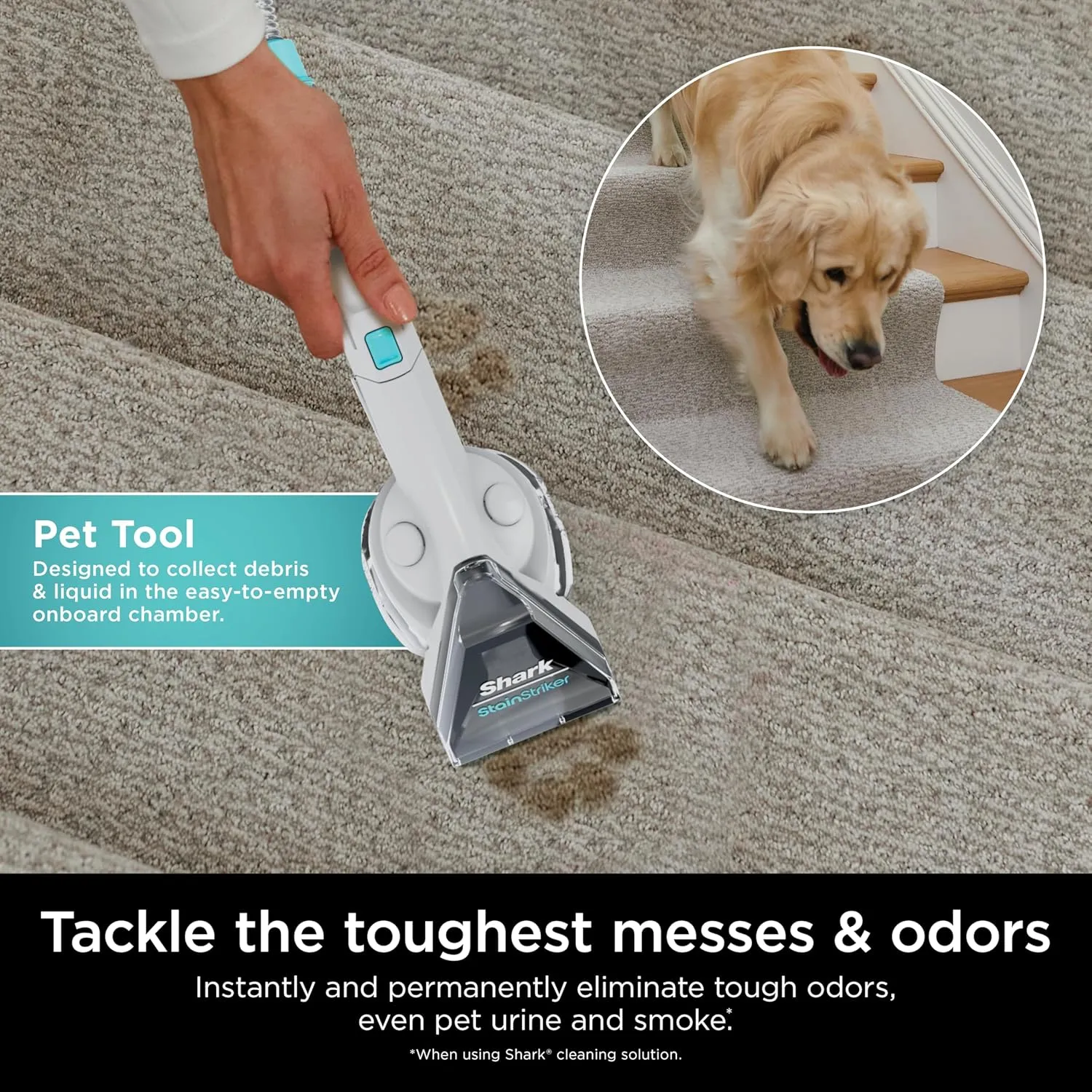Shark StainStriker Pro Bundle for All Shark StainStriker Portable Cleaners, for Carpets & Area Rugs, Instantly Eliminates Odors, 32oz OXY Multiplier and 16oz Deep Clean Pro, PXCMBUNDLE