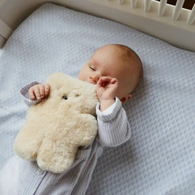 Sheepskin Teddy Bear - 100% Wool - Handmade - Milk