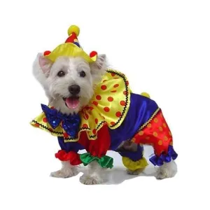 Shiny Clown Costume