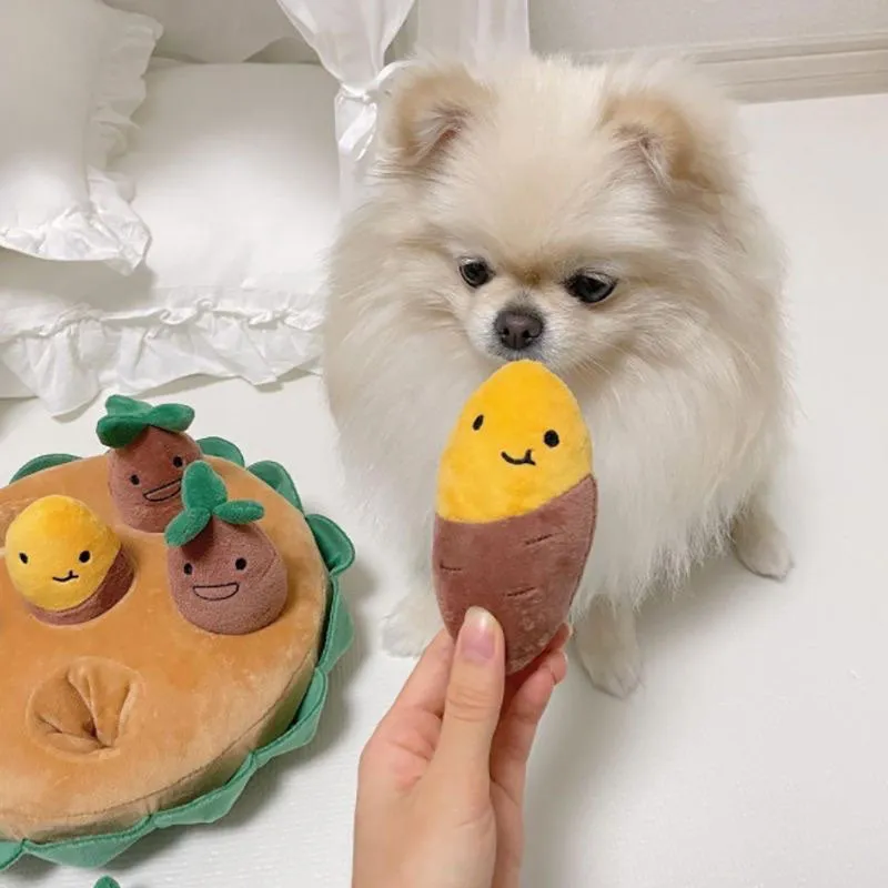 Squeaky Pull Sweet Potato Interactive Dog Toys