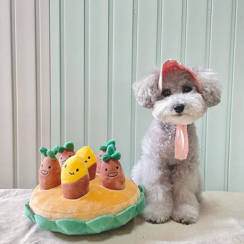 Squeaky Pull Sweet Potato Interactive Dog Toys