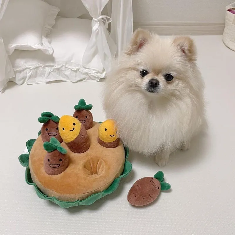 Squeaky Pull Sweet Potato Interactive Dog Toys