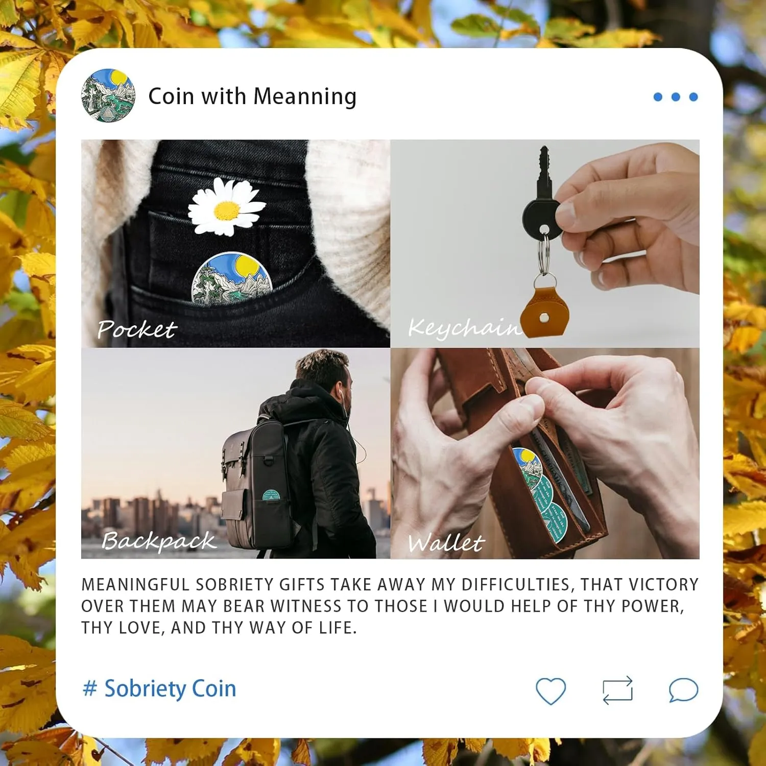 Sunlight 19 Year Sobriety Coin - Recovery 19 Year AA Coins - Serenity Prayer NA AA Chips and Medallions - 1-65 Prime Living Clean Sober Token - Narcotics Alcoholics Anonymous Gifts for Men Women