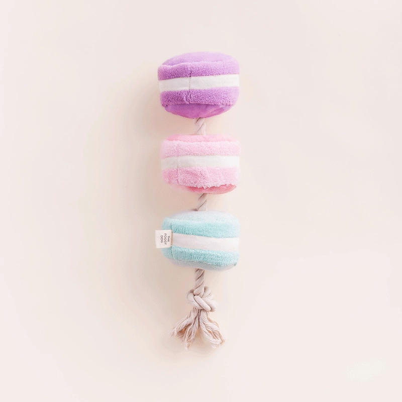 Sweet Treats Interactive Snuffle Dog Toy Set