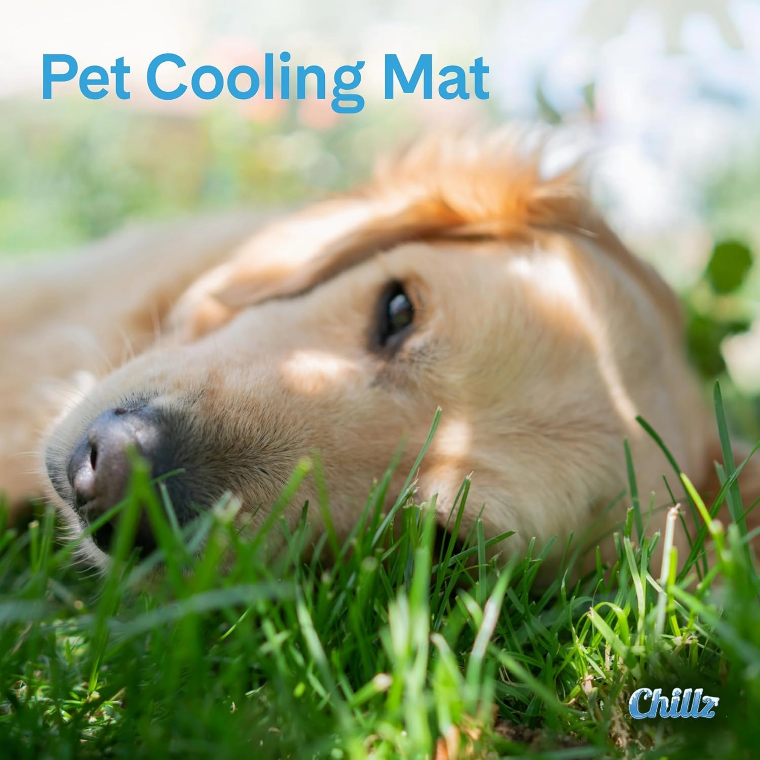 The Green Pet Shop Chillz Gel Mat, Extra Large - Pressure-Activated Cooling Pad for Pets - Non-Toxic, No Water or Refrigeration Needed - Ideal for Home, Travel & Crates