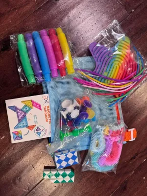 Travel Fidget Toy Set for Kids 31Pcs Sensory Kit for Stress Relief Creativity Mess Free Screen Free Play Includes Blue Carry Bag Perfect for Stocking Stuffers Airplanes Road Trips Birthday Gift (BLUE)