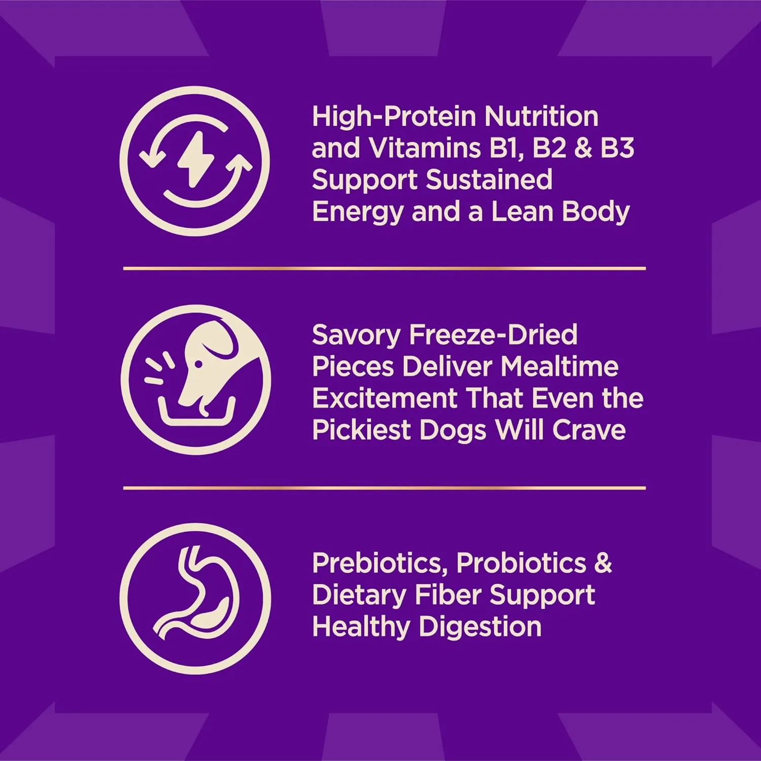 Wellness CORE  (Formerly RawRev) Dry Dog Food with Freeze Dried Pieces, Small Breed, Wholesome Grains, High Protein, Natural, Original Turkey & Chicken Recipe, (10-Pound Bag)