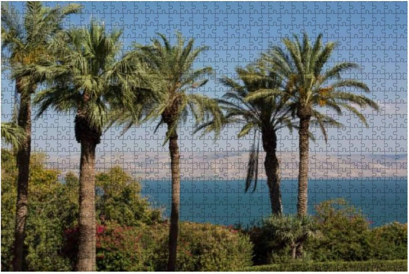 Wooden Puzzle 1000 Pieces The sea of Galilee Jigsaw Puzzles for Children or Adults Educational Toys Decompression Game